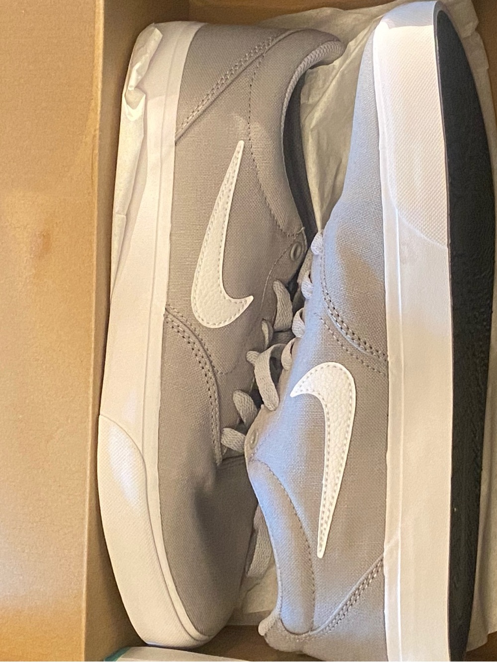 Nike SB Charge Canvas Wolf Grey White Men’s Size 10.5 CD6279-003 New